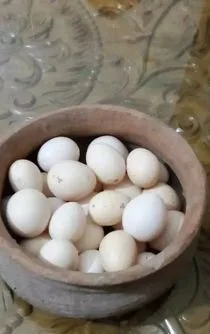 দেশি মুরগির ডিম