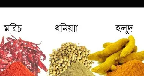 অরজিনাল মসলা