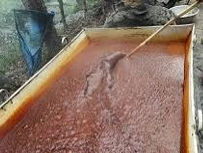 দেশি খাটি গুড়