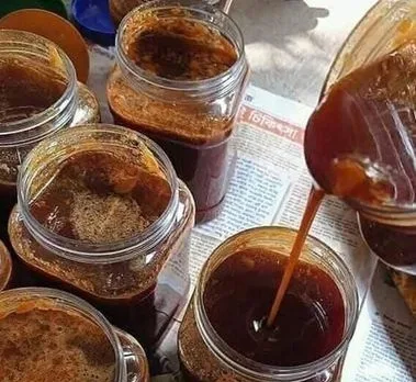 খাটি খেজুরের নলেন গুড়