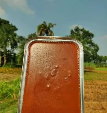 খেজুরের গূড়