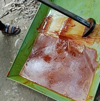 খেজুরের গুড়