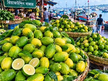 🍋  টাটকা দেশি লেবু | পাইকারি সরবরাহ