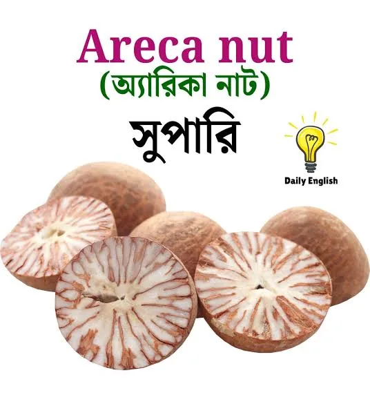 đ āĻļā§āĻāύāĻž āύāĻžāϰāĻŋāĻā§āϞ, đāĻāĻžāĻāĻāĻž āϏā§āĻĒāĻžāϰāĻŋ, đāĻļā§āĻāύāĻž āϏā§āĻĒāĻžāϰāĻŋ,