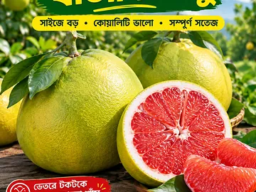 বাতামি লেবু