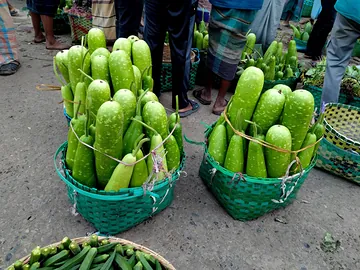 পাইকারি সরবরাহ করি