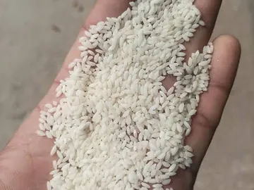 দিনাজপুরের অরজিনাল চিনিগুড়া চাল নিজ বাড়ির
