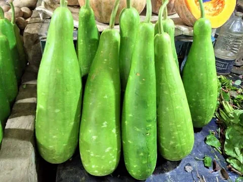 লাউ