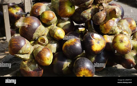 Palm fruit