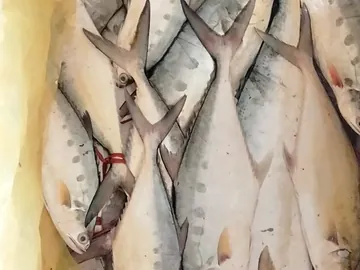 All kind of Seafood